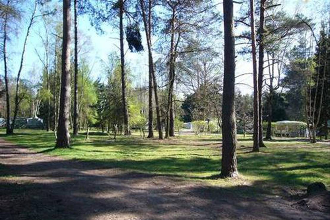 Campingplatz Glockenheide 7