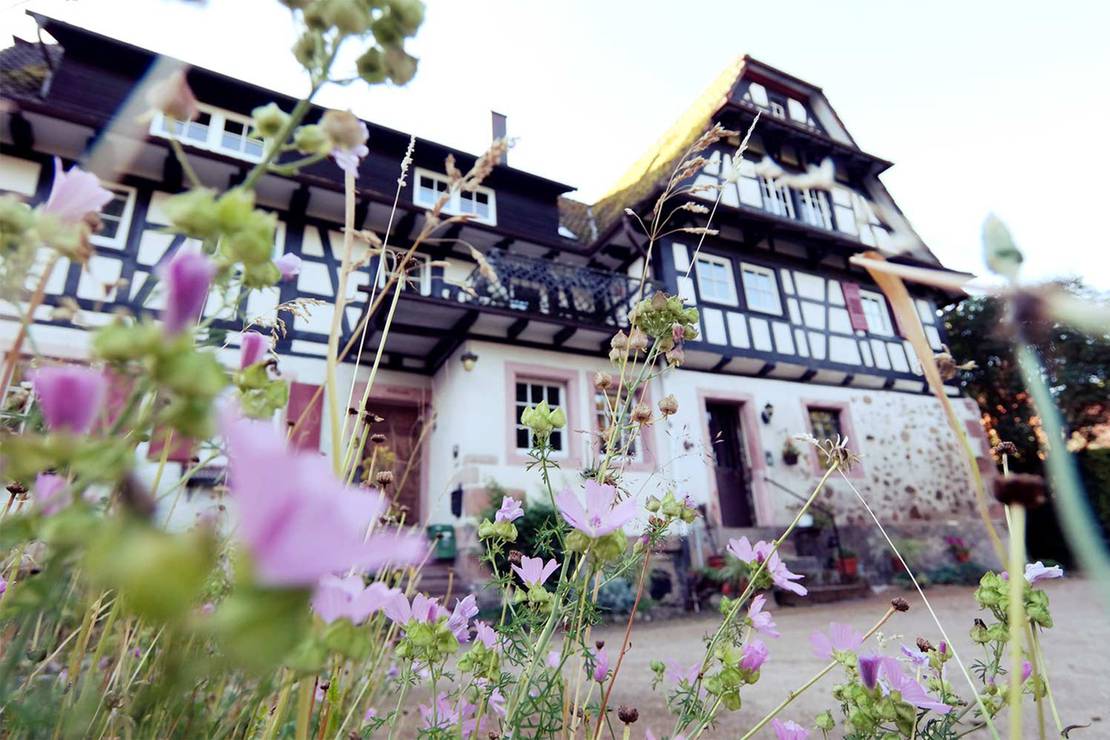 Campingplatz Gräßelmühle 6