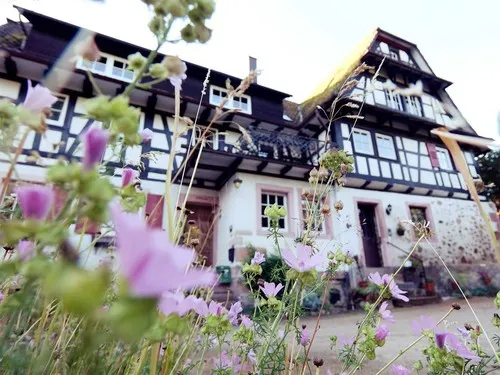 Campingplatz Gräßelmühle 5