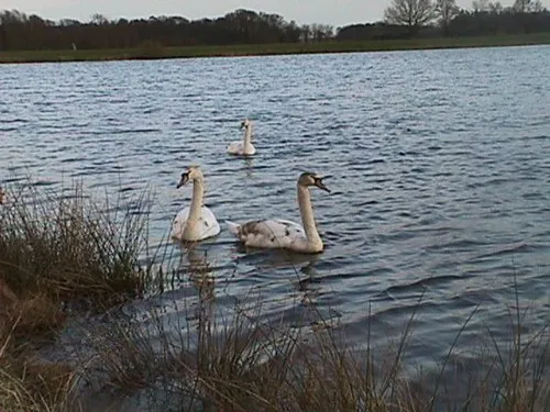 Campingplatz Hartensbergsee 6