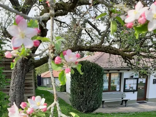 Campingplatz Hof Gimbach 6
