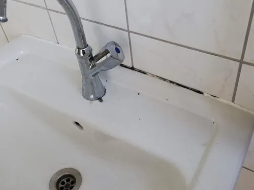 Campingplatz Koberbachtalsperre 5