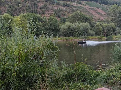 Campingplatz Mainruh 9