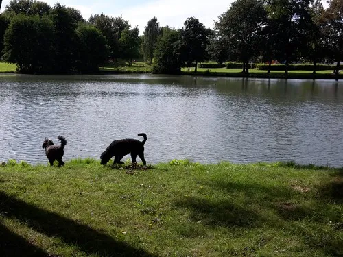 Campingplatz Räbke 7