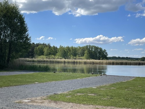 Campingplatz Schildau "An der Neumühle" image 2