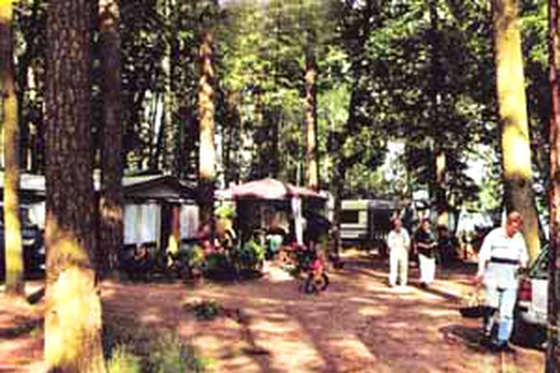 Campingplatz Schwarzhorn 7