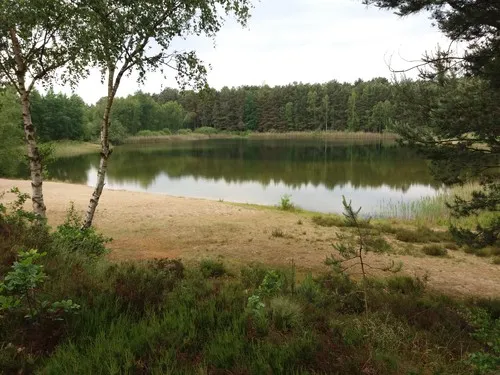 Campingplatz Seerosenteich 3