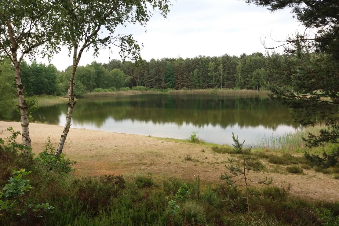 Campingplatz Seerosenteich 4