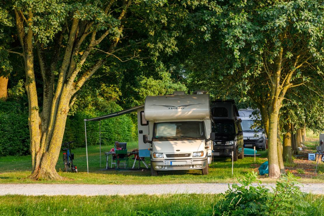 Campingplatz Tiemann's Hof 5