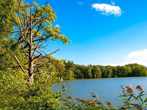 Campingplatz Treppelsee 3