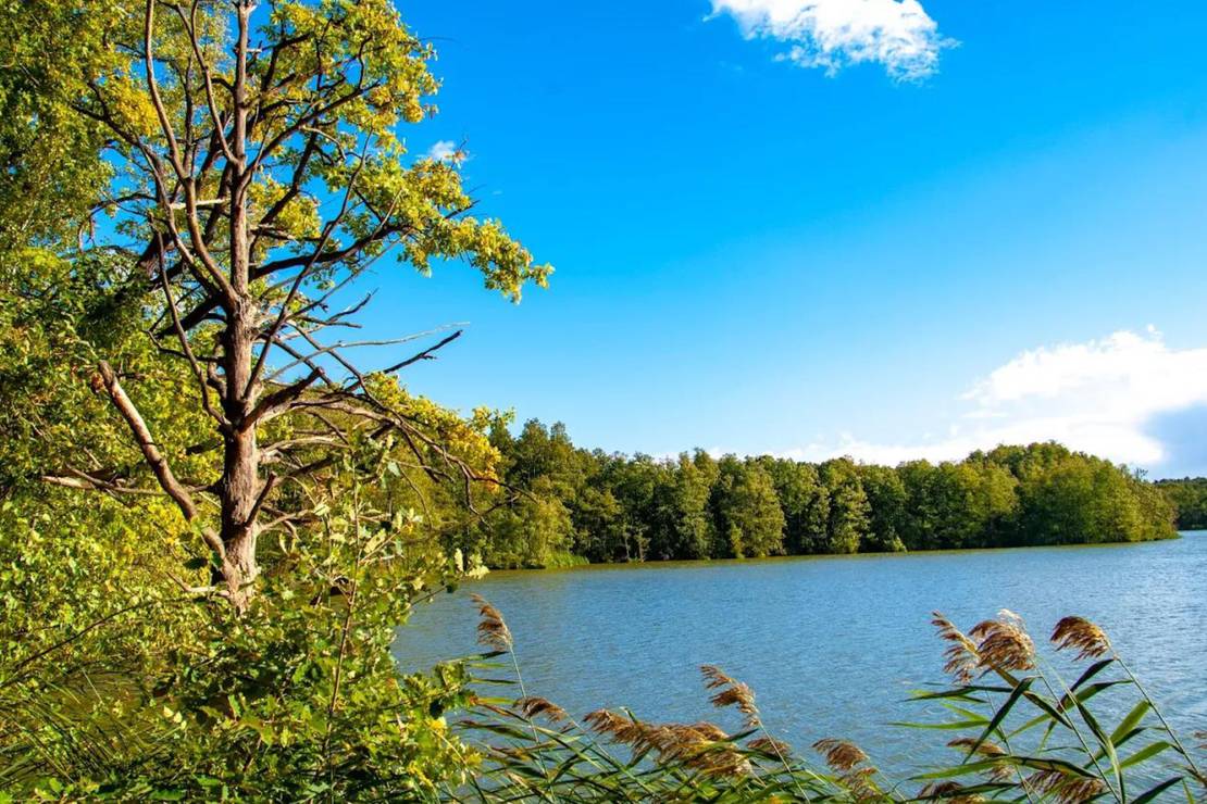 Campingplatz Treppelsee 4