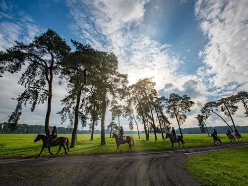 Campingplatz & Reiterpark Brockmühle 3