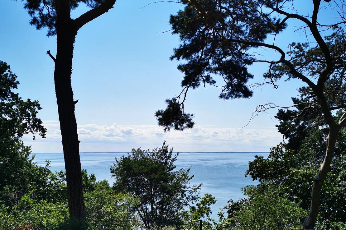 Campingplatz und Ferienhäuser Haffküste Kamminke 4