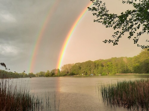 FKK Campingplatz Waldteichfreunde Moritzburg e.V.