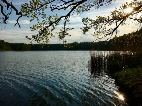 FKK Campingplatz Waldteichfreunde Moritzburg e.V. 5