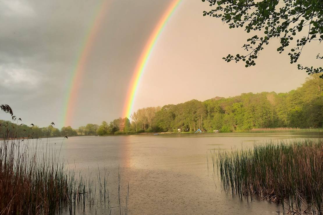 FKK Campingplatz Waldteichfreunde Moritzburg e.V. 4