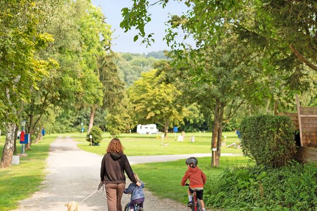 Die Allee zum Touristenbereich