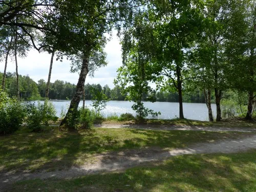 Campingplatz Wiesedermeer 5