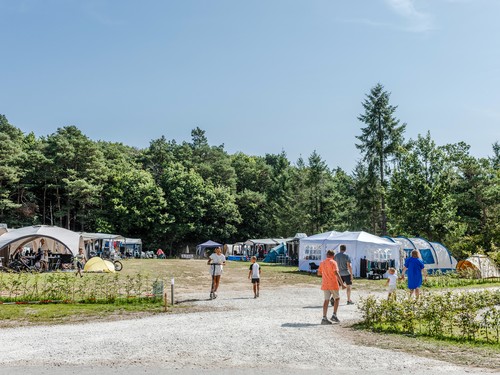 Moselcamping Kröver Berg 2