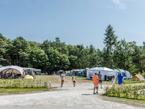 Moselcamping Kröver Berg 5