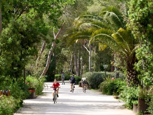 Capfun Campo dei Fiori 7