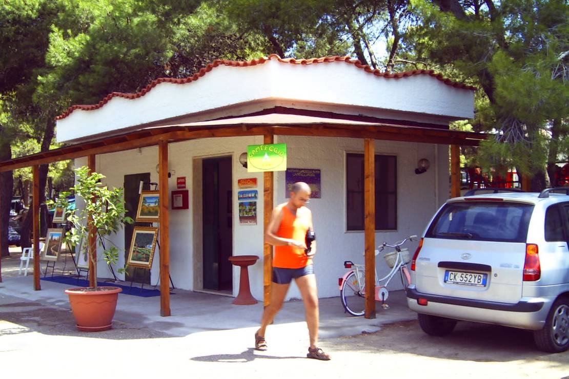 Camppeggio Internazionale 4