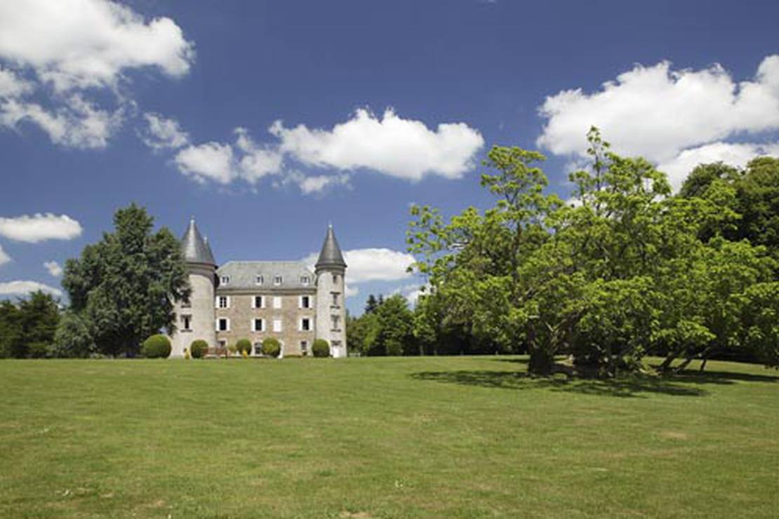 Castel Le Chateau De Leychoisier 6