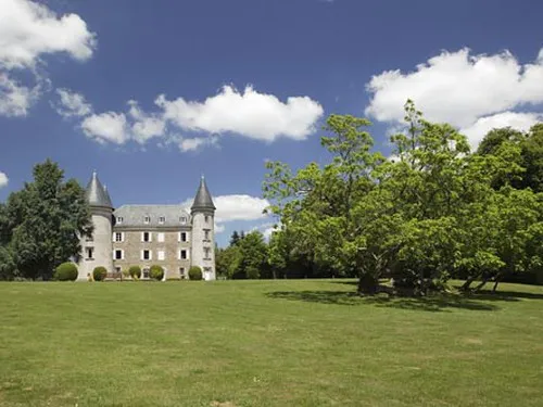 Castel Le Chateau De Leychoisier 5