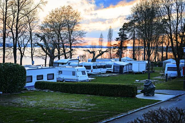Stellplätze mit Bodensee Blick