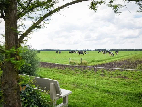 Charme Camping Vorrelveen 5