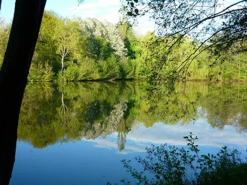 Country Camping Schinderhannes 5