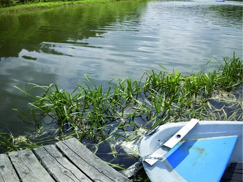 Country Camping Tiefensee Voß e.K. 5