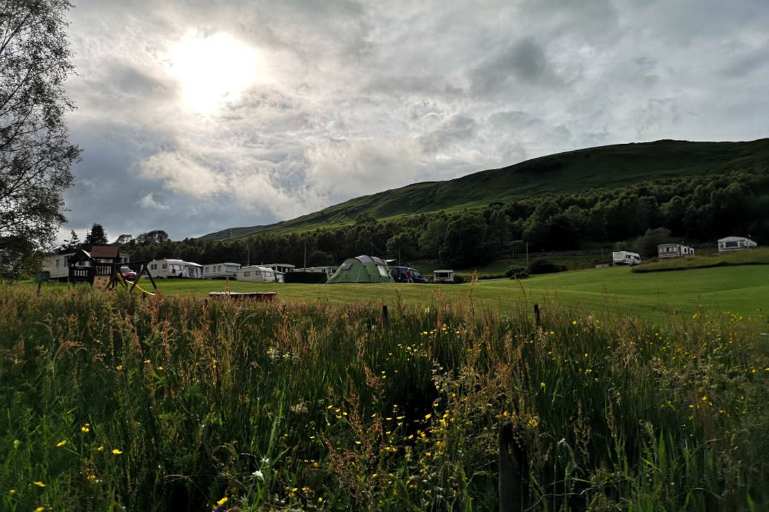 Are dogs allowed at the campsite Cruachan Caravan & Camping Park?