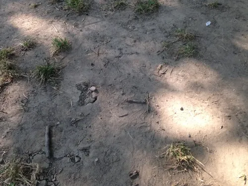 DKV-Campingplatz Bodensee 5