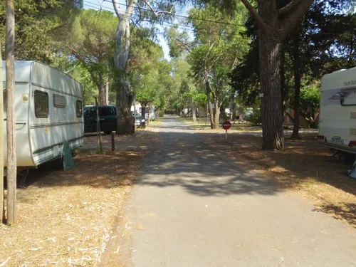 Domaine Du Ceinturon Iii 3