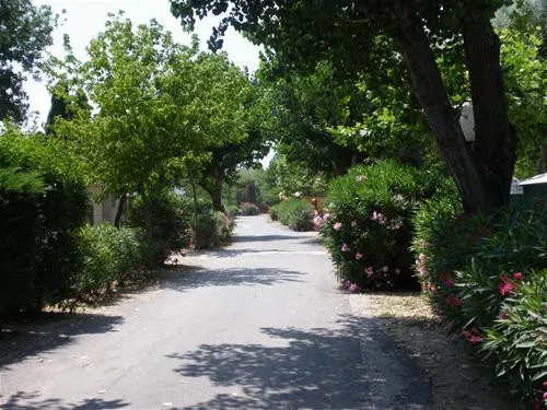 Domaine du Golfe de Saint-tropez 3