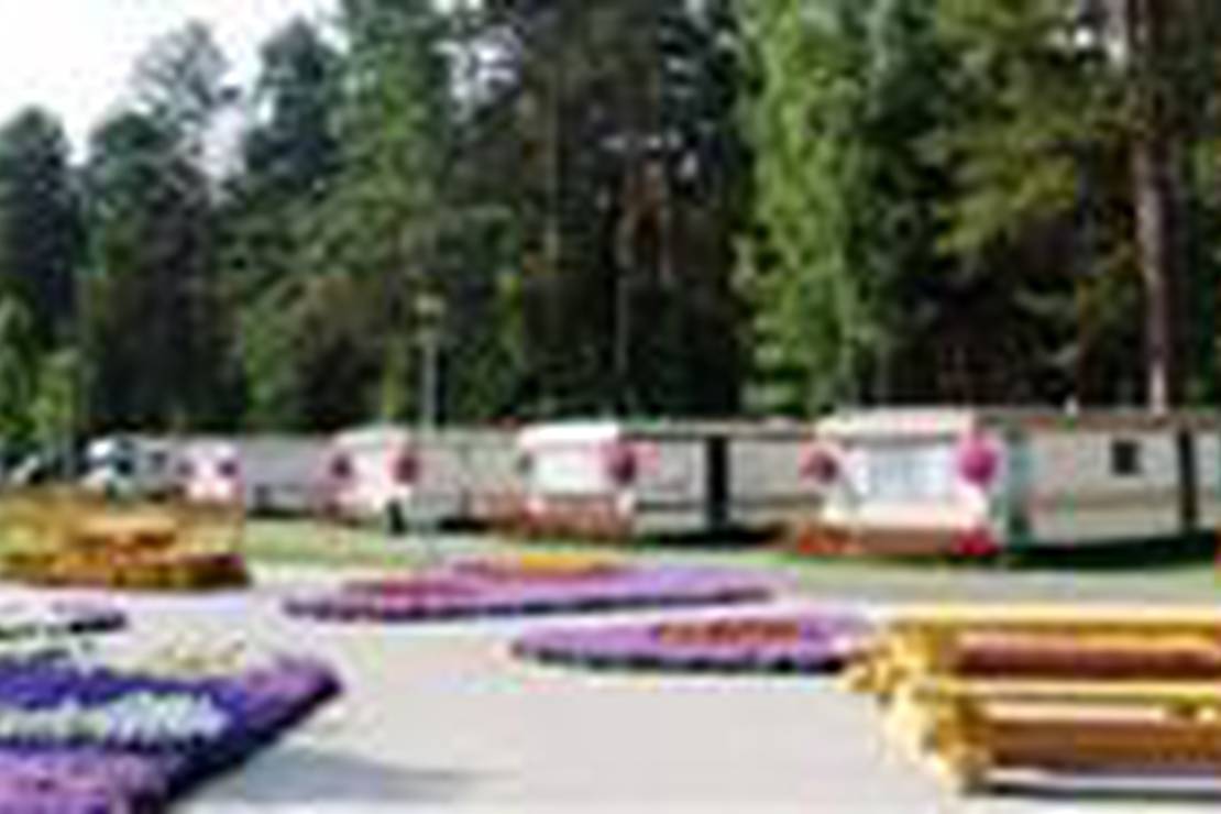 Druskininkai Camping 8