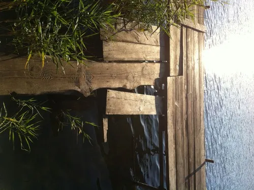 Dürings Campingplatz "AM TONSEE" 6