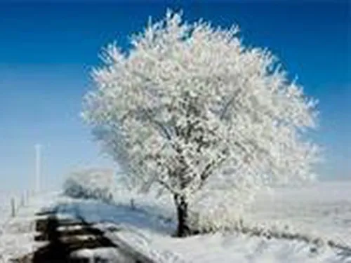 Eider und Treenecamp 5