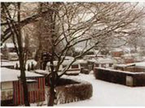 Erholungsgebiet Waldsee 5