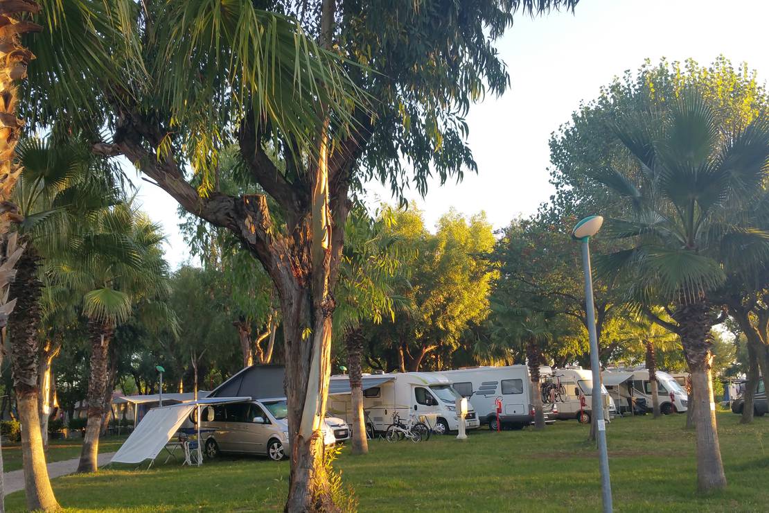 Club del Sole Roseto degli Abruzzi Easy Camping Village 4