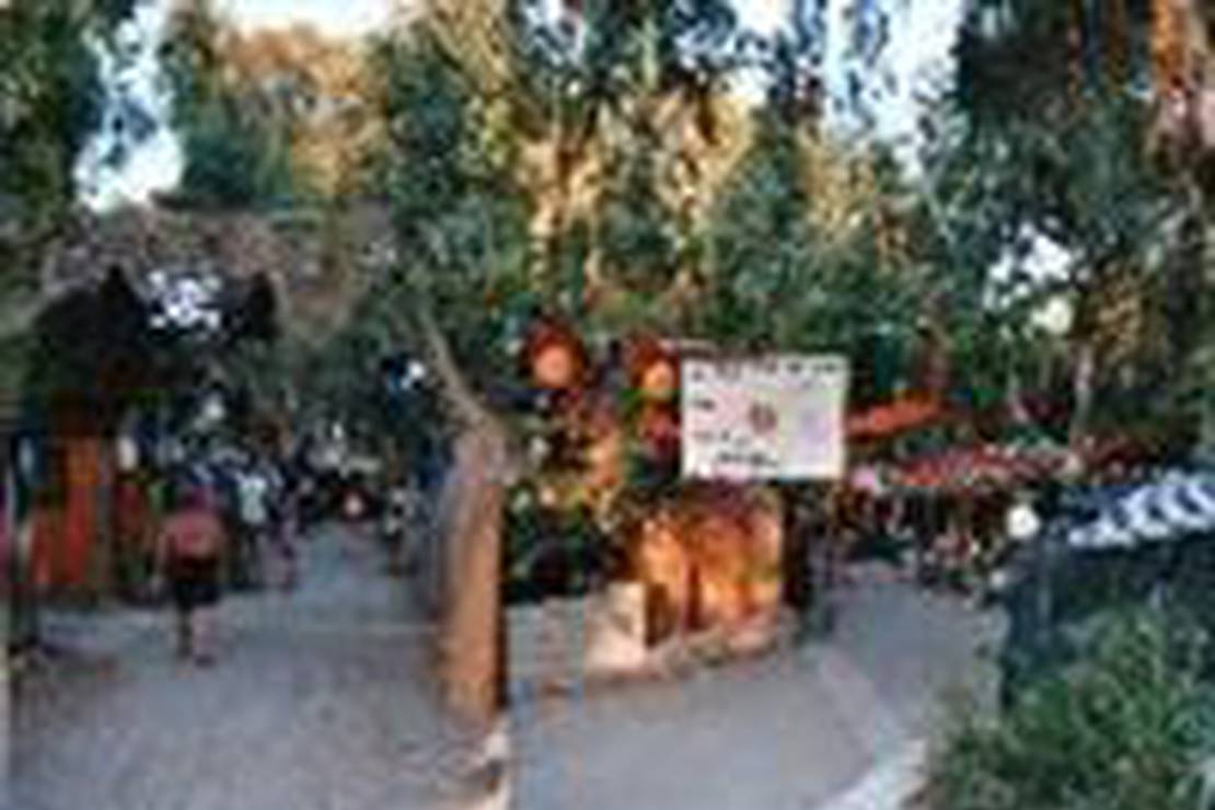 Eurocamping Due Rocche 4