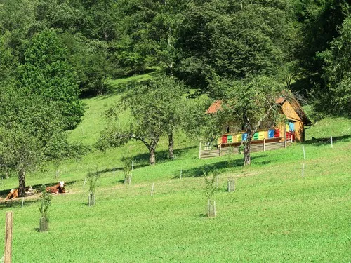 Farm camping Zelinc Slovenia 6