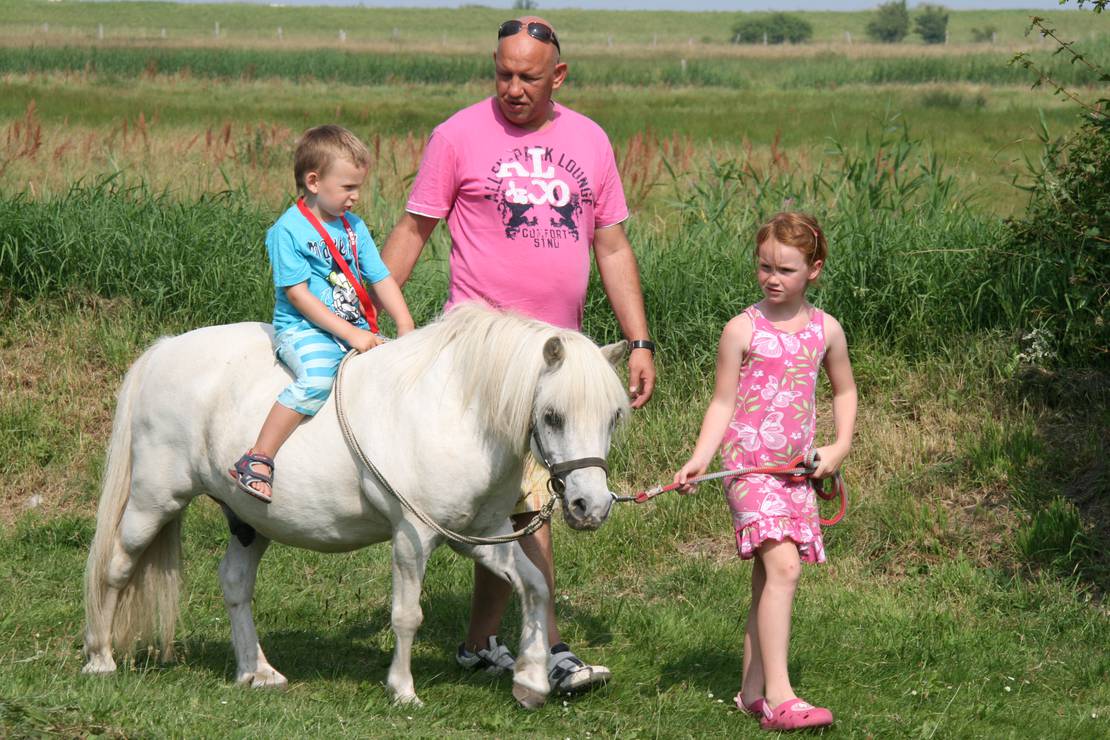 Ferien- und Campinganlage Schuldt 8