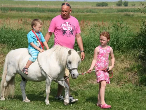 Ferien- und Campinganlage Schuldt 7