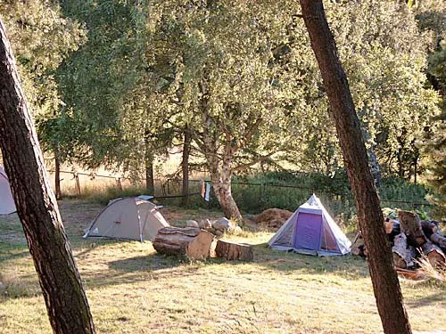 Ferienhof Birkengrund 3