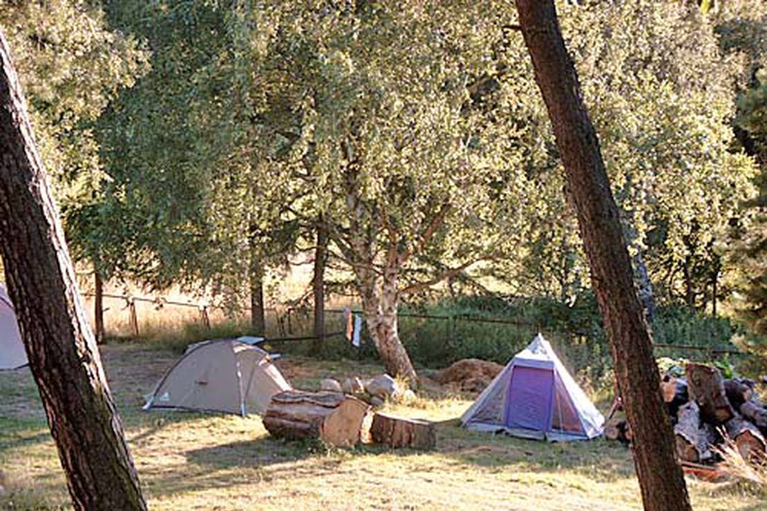 Ferienhof Birkengrund 4