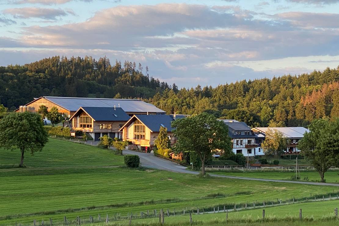 Ferienhof & Camping Zur Hasenkammer 6