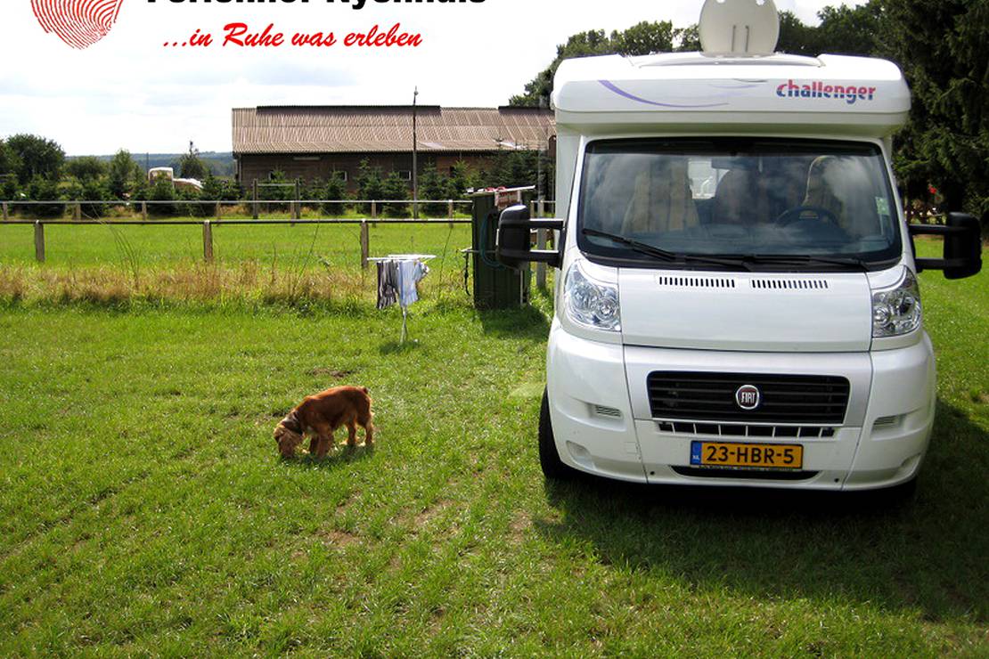 Ferienhof Nyenhuis 4