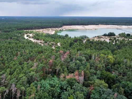 Ferienparadies-Waldidylle 6